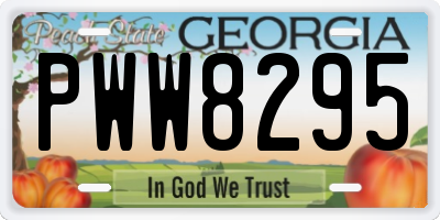 GA license plate PWW8295