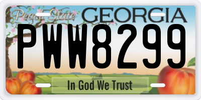 GA license plate PWW8299