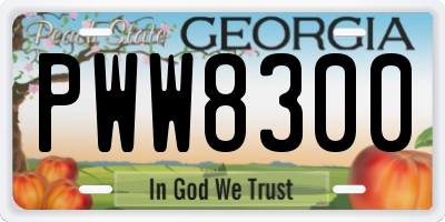 GA license plate PWW8300