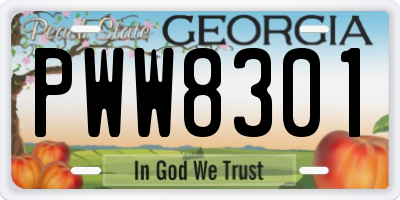GA license plate PWW8301