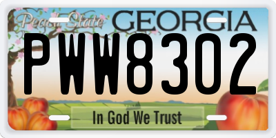 GA license plate PWW8302