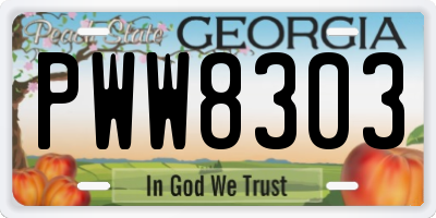 GA license plate PWW8303