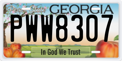 GA license plate PWW8307