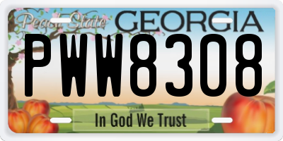 GA license plate PWW8308