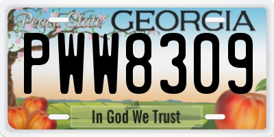 GA license plate PWW8309