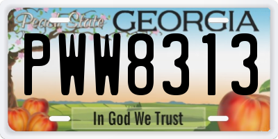 GA license plate PWW8313