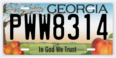 GA license plate PWW8314