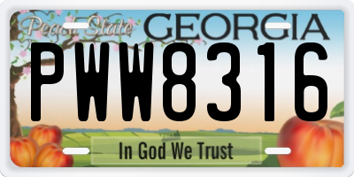 GA license plate PWW8316