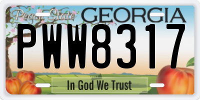 GA license plate PWW8317