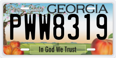 GA license plate PWW8319