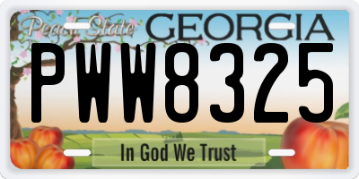 GA license plate PWW8325