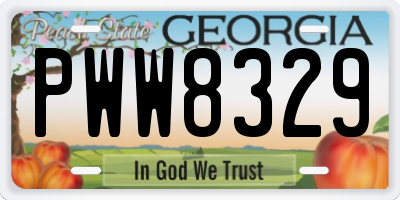 GA license plate PWW8329