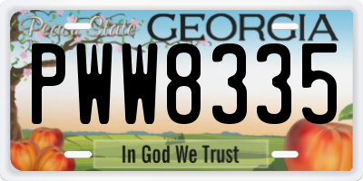 GA license plate PWW8335