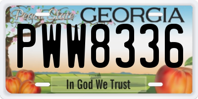 GA license plate PWW8336