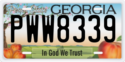 GA license plate PWW8339