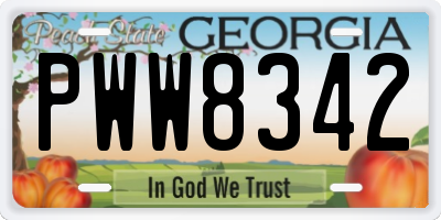 GA license plate PWW8342