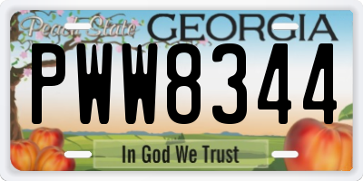 GA license plate PWW8344