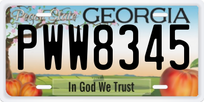 GA license plate PWW8345