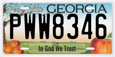 GA license plate PWW8346