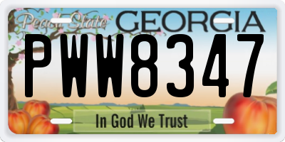 GA license plate PWW8347
