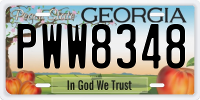 GA license plate PWW8348