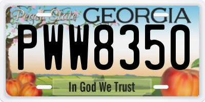 GA license plate PWW8350