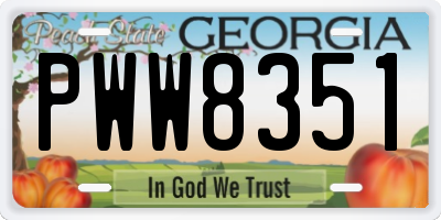 GA license plate PWW8351