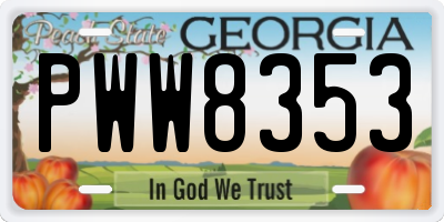 GA license plate PWW8353