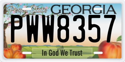 GA license plate PWW8357