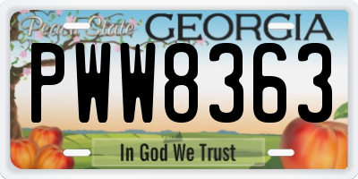 GA license plate PWW8363
