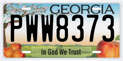 GA license plate PWW8373