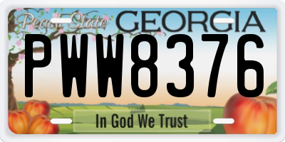 GA license plate PWW8376