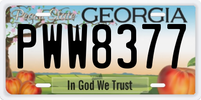 GA license plate PWW8377