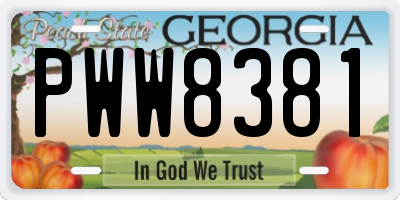 GA license plate PWW8381