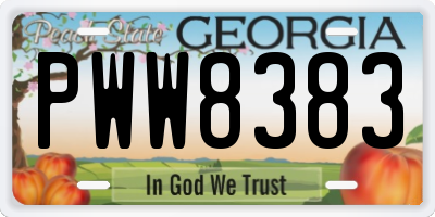 GA license plate PWW8383