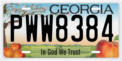 GA license plate PWW8384