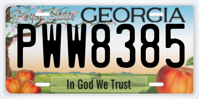 GA license plate PWW8385