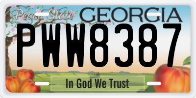 GA license plate PWW8387