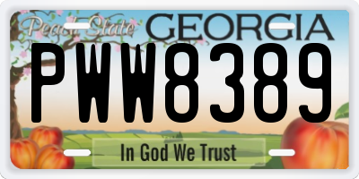 GA license plate PWW8389
