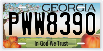 GA license plate PWW8390