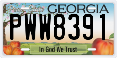 GA license plate PWW8391