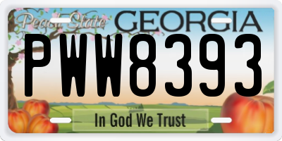 GA license plate PWW8393