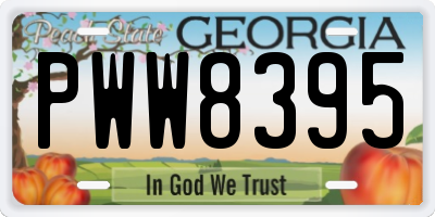 GA license plate PWW8395
