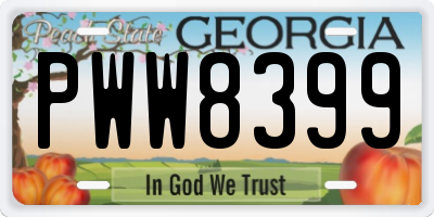 GA license plate PWW8399