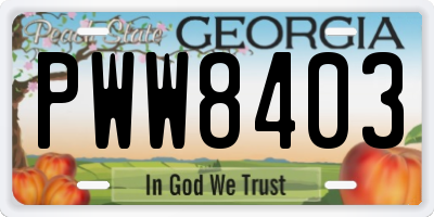 GA license plate PWW8403