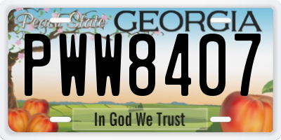 GA license plate PWW8407