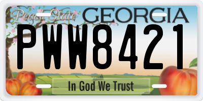 GA license plate PWW8421