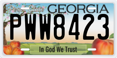GA license plate PWW8423