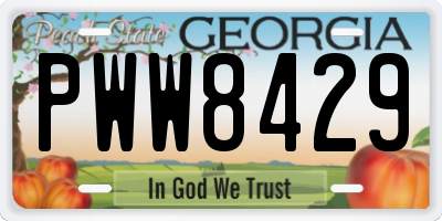 GA license plate PWW8429