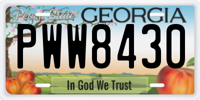GA license plate PWW8430